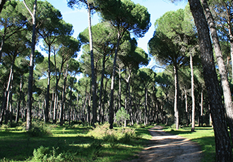 bureau a aix les milles