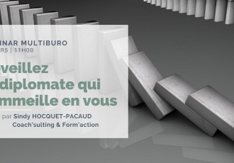 formation en ligne diplomatie webinar