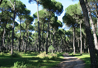 mitwit aix en provence dans un ecrin de verdure