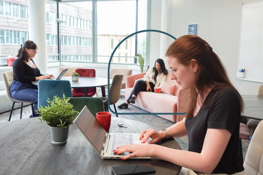 mitwit office