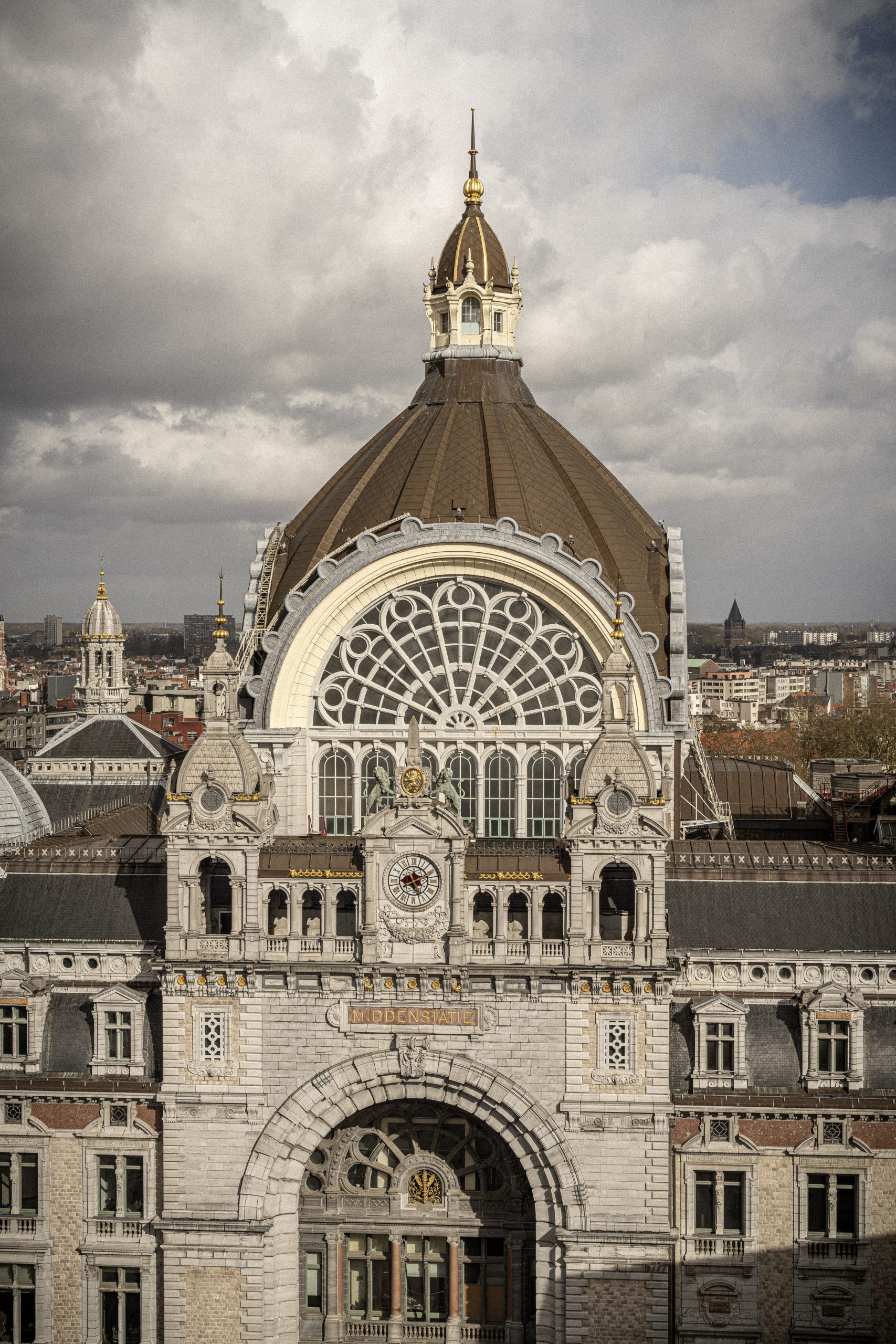 Mitwit Anvers