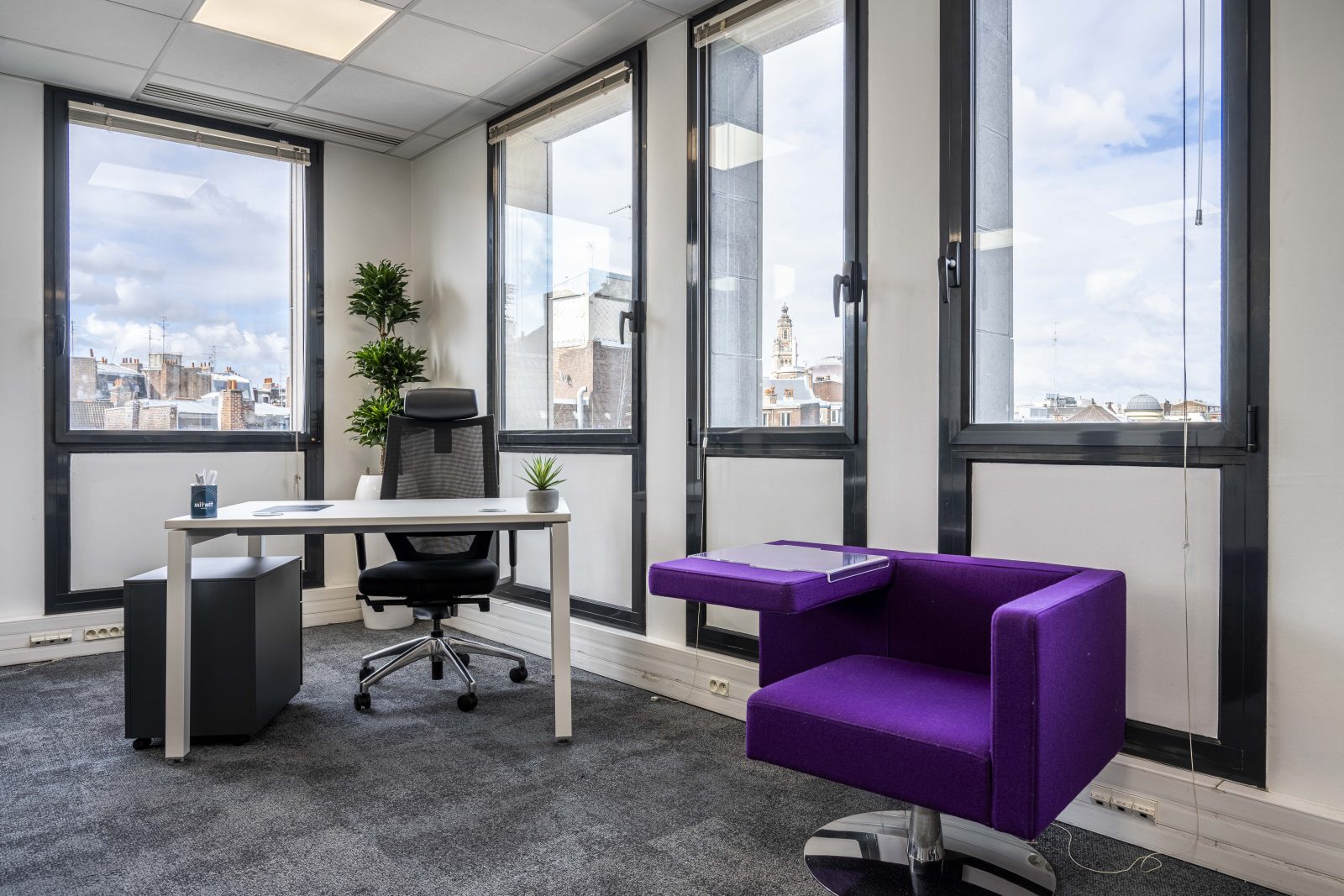 Mitwit Lille Flandres