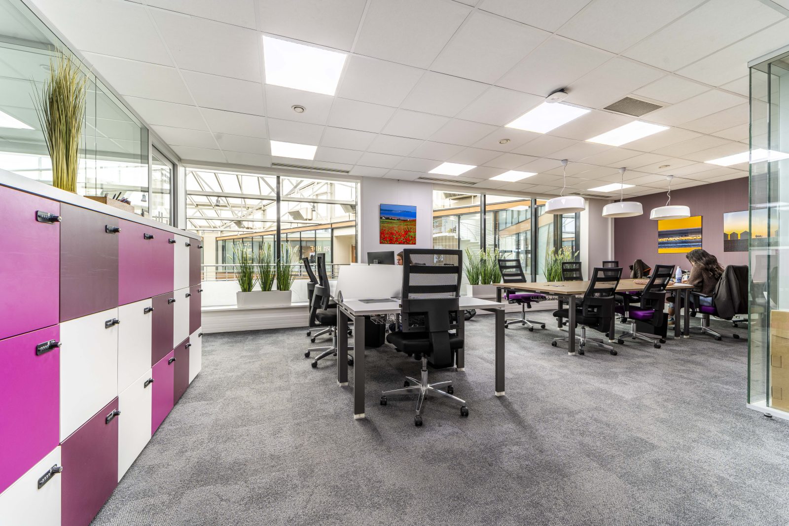 Mitwit Lille Flandres