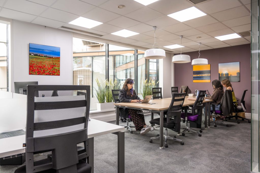 Mitwit Lille Flandres