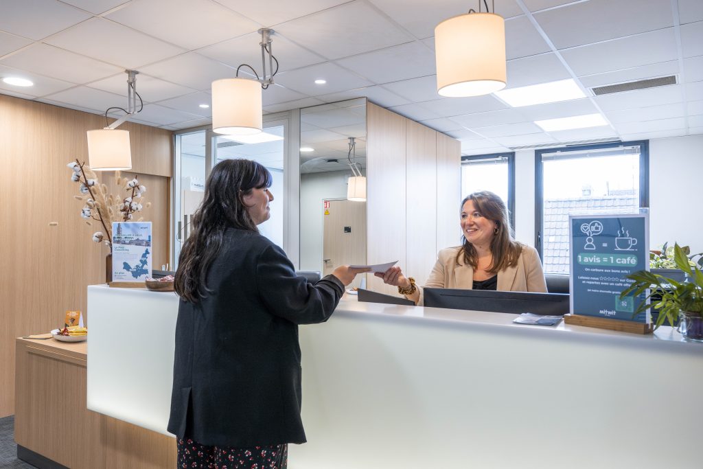 Mitwit Lille Flandres