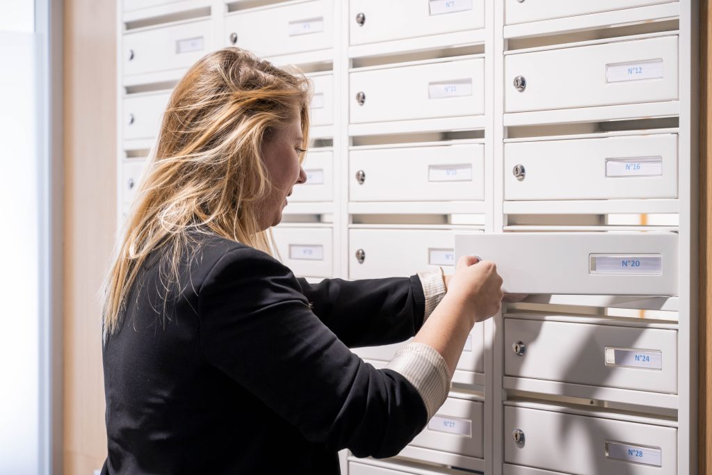 Mitwit Lille Flandres